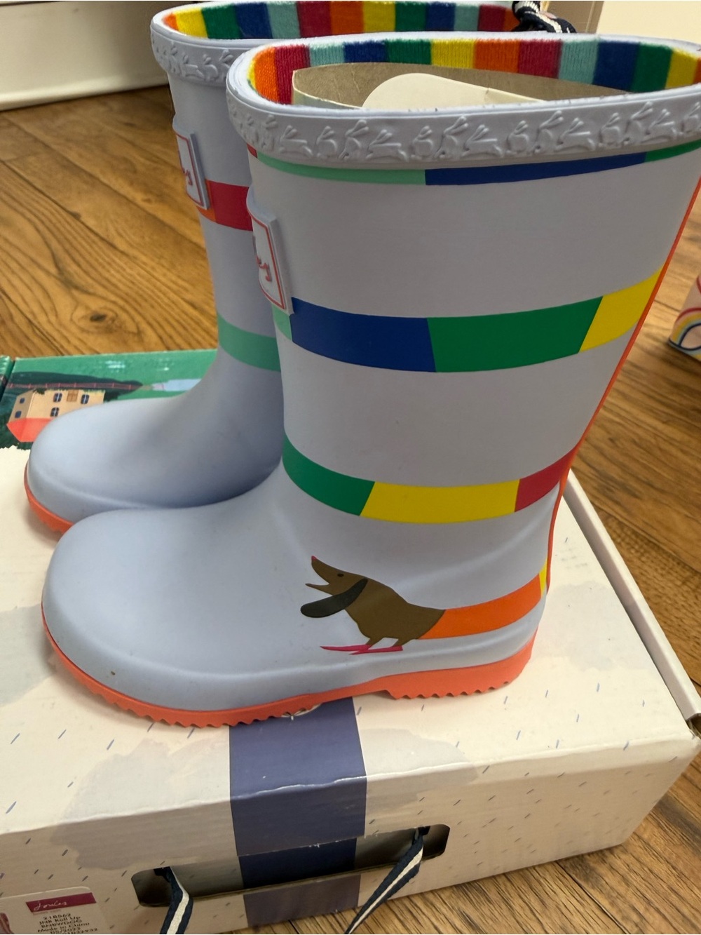 Joules Rainbow Dog Rainboot